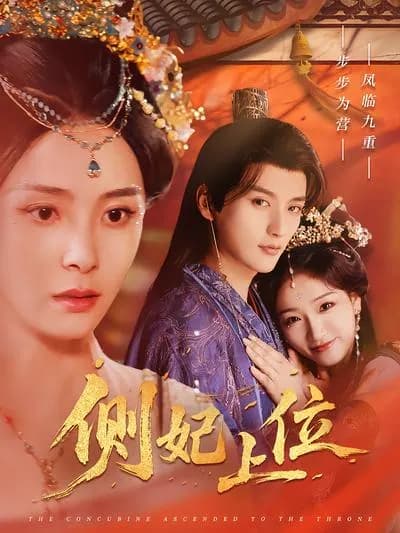The Concubine's Rise to Power