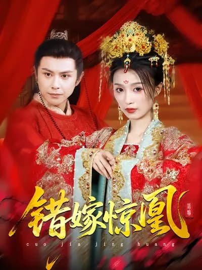 A Mistaken Marriage and a Startling Phoenix