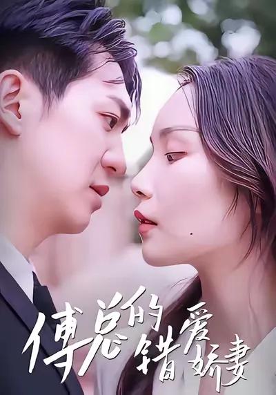 Mr. Fu's Beloved Wife by Mistake