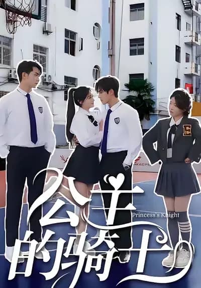 The Princess's Knight