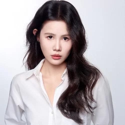 han ming fei