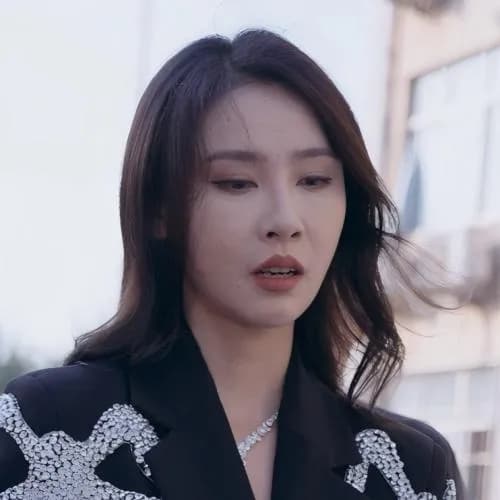 hu fei