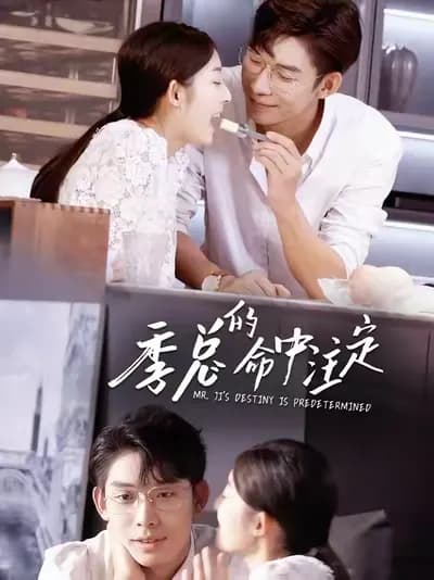 Mr. Ji's Destiny