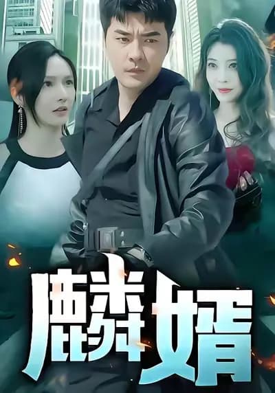 The Son-in-law of Legend