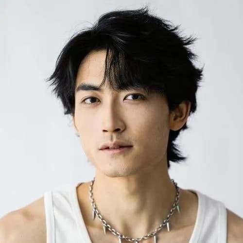 li shu tao