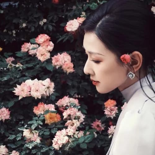 liu meng jie