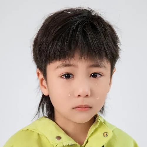 刘书杰