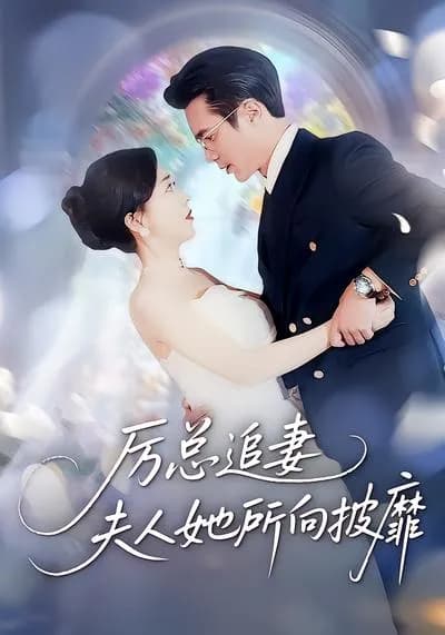 President Li's Pursuit of His Wife: The Lady Is Invincible