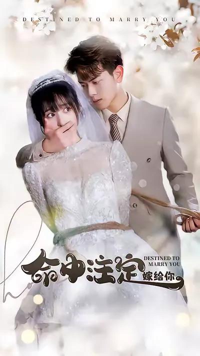 Destined to Marry You