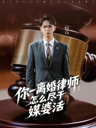 Divorce Lawyer Li Hang: Why Are You Acting as a Matchmaker? 