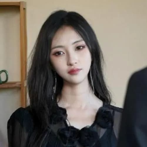 pan lin li