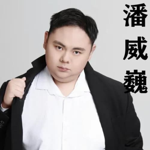 pan wei wei