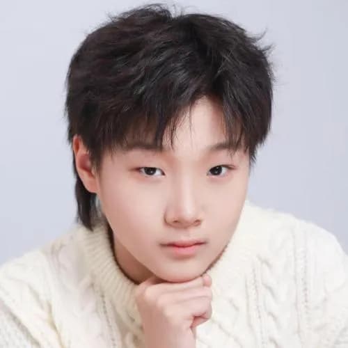 qi dong han