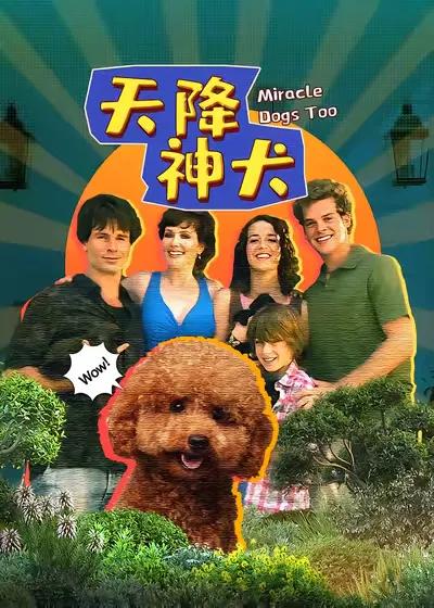 天降神犬2