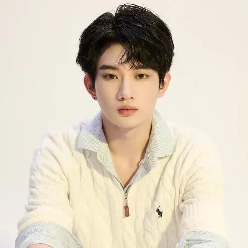 wang jun yu