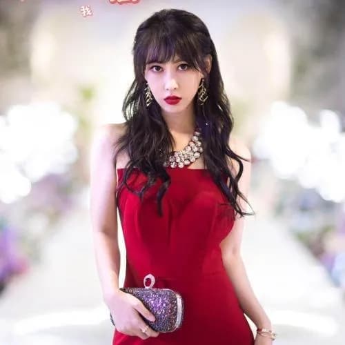 wang xiao han
