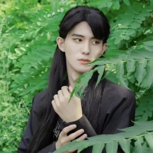王子木