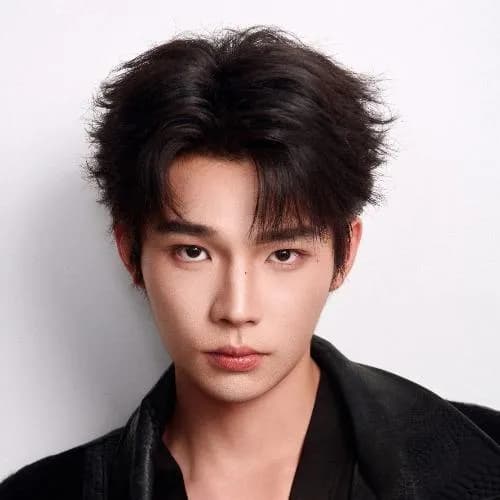 wen zhi cheng