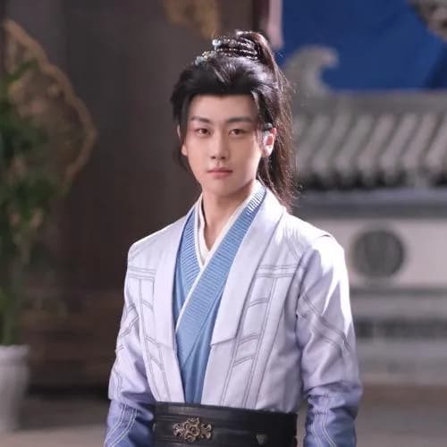 wu shu fan