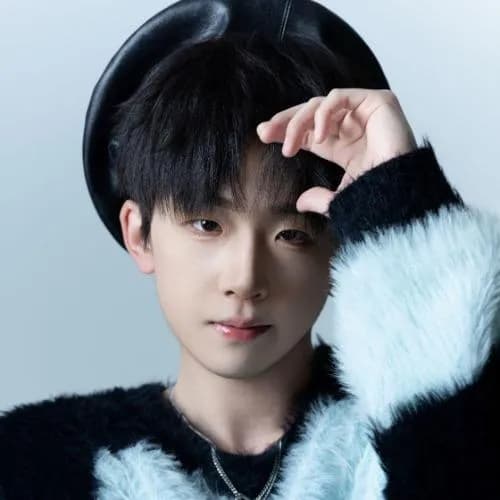 杨佳鑫