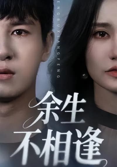 Never Meet Again in the Rest of Life