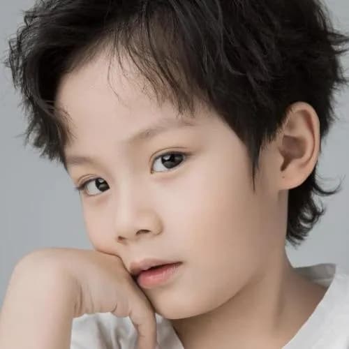 zhao jun han