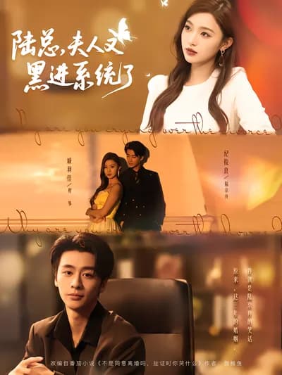 Mr. Lu, Mrs. Has Hacked into the System Again