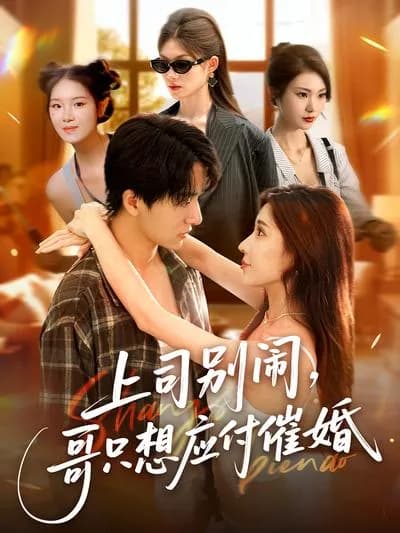 Don't Mess with the Boss, Bro Just Wants to Deal with Arranged Marriages