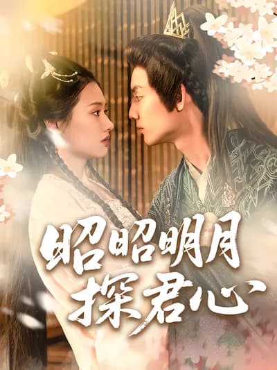 The Shining Moonlight to Explore Your Heart