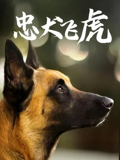 Faithful Dog Feihu